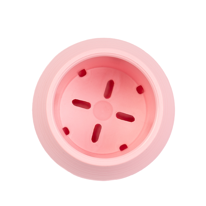 Autorriego-1-Rosa-BB-arriba