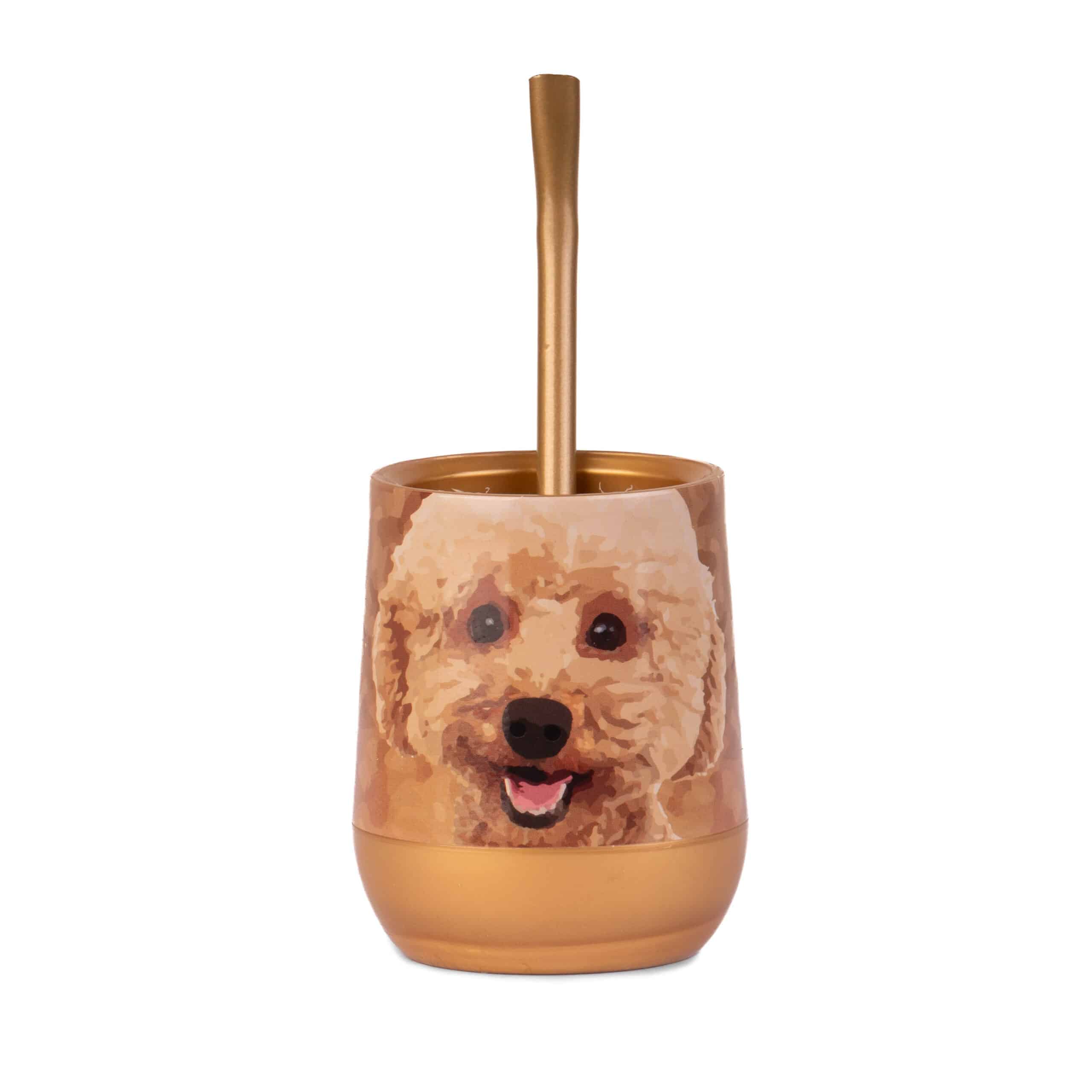 Caniche-frente-scaled