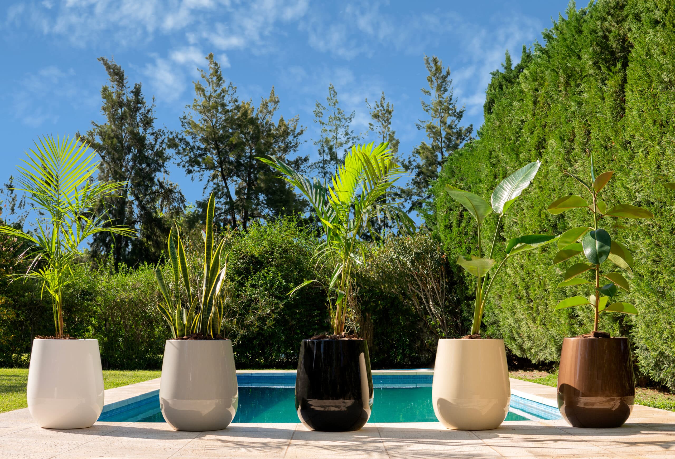 DSC06847-copia-Recuperado-scaled