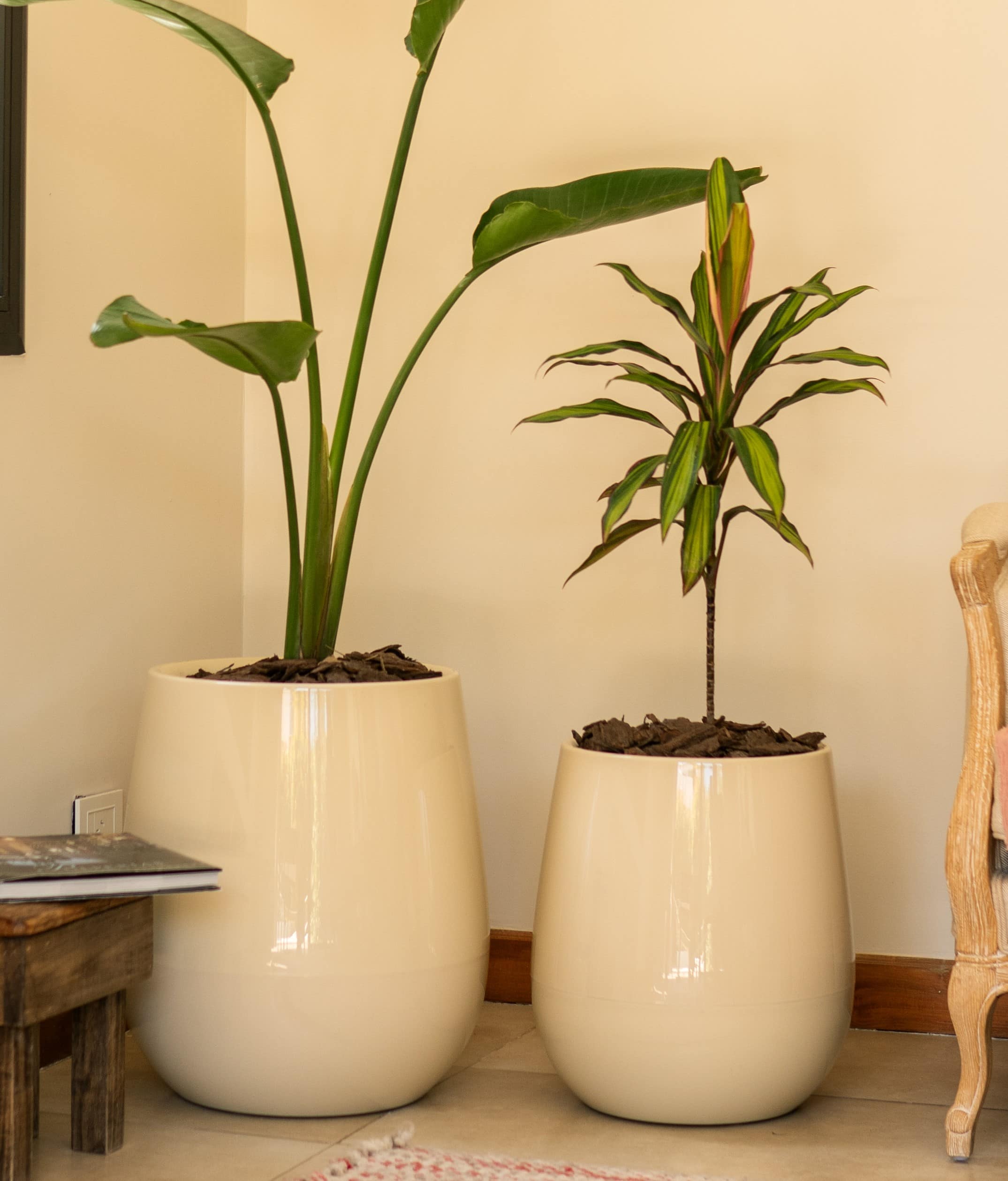 INTERIOR-MARFIL