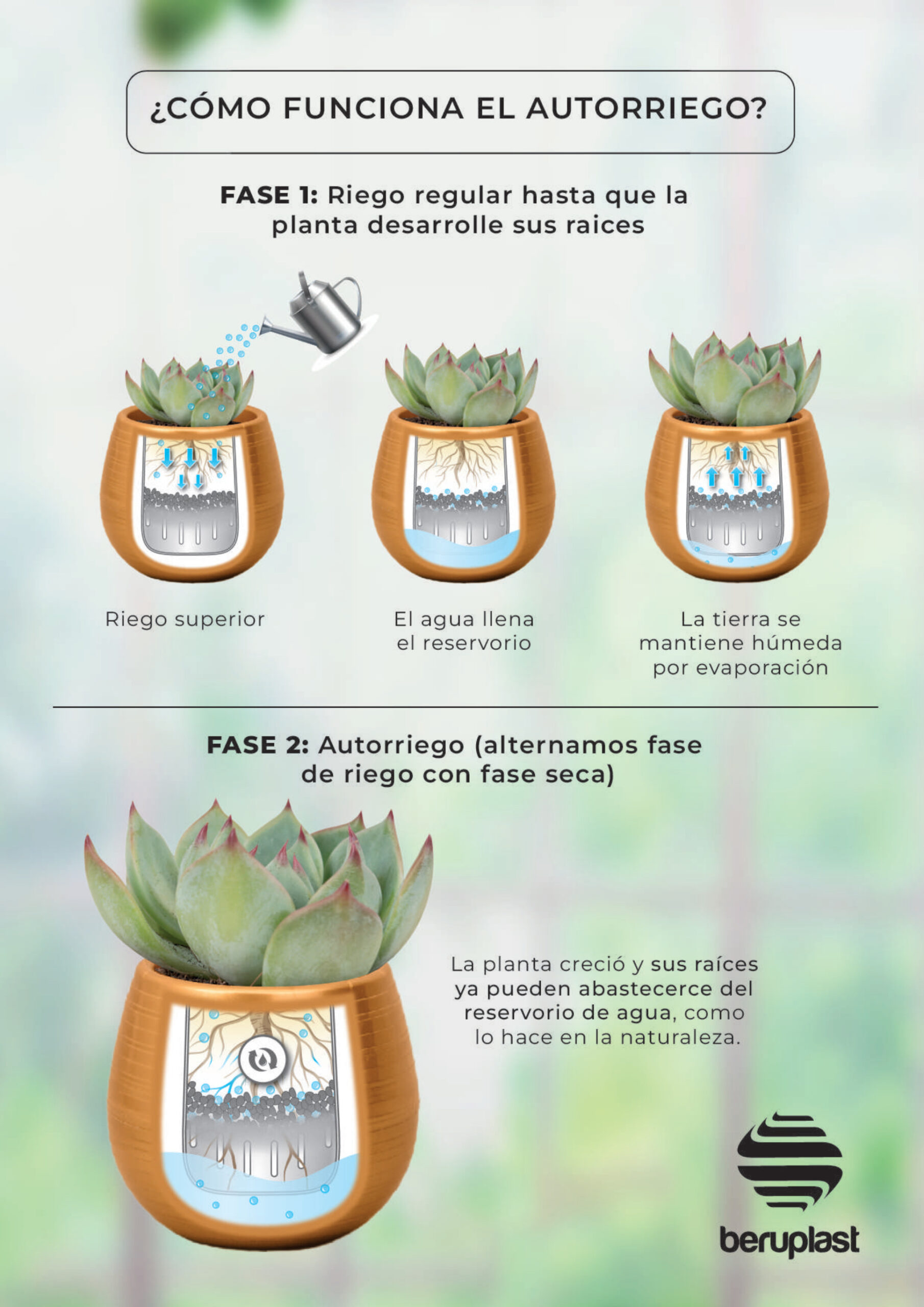 Infor-autorriego-1-scaled