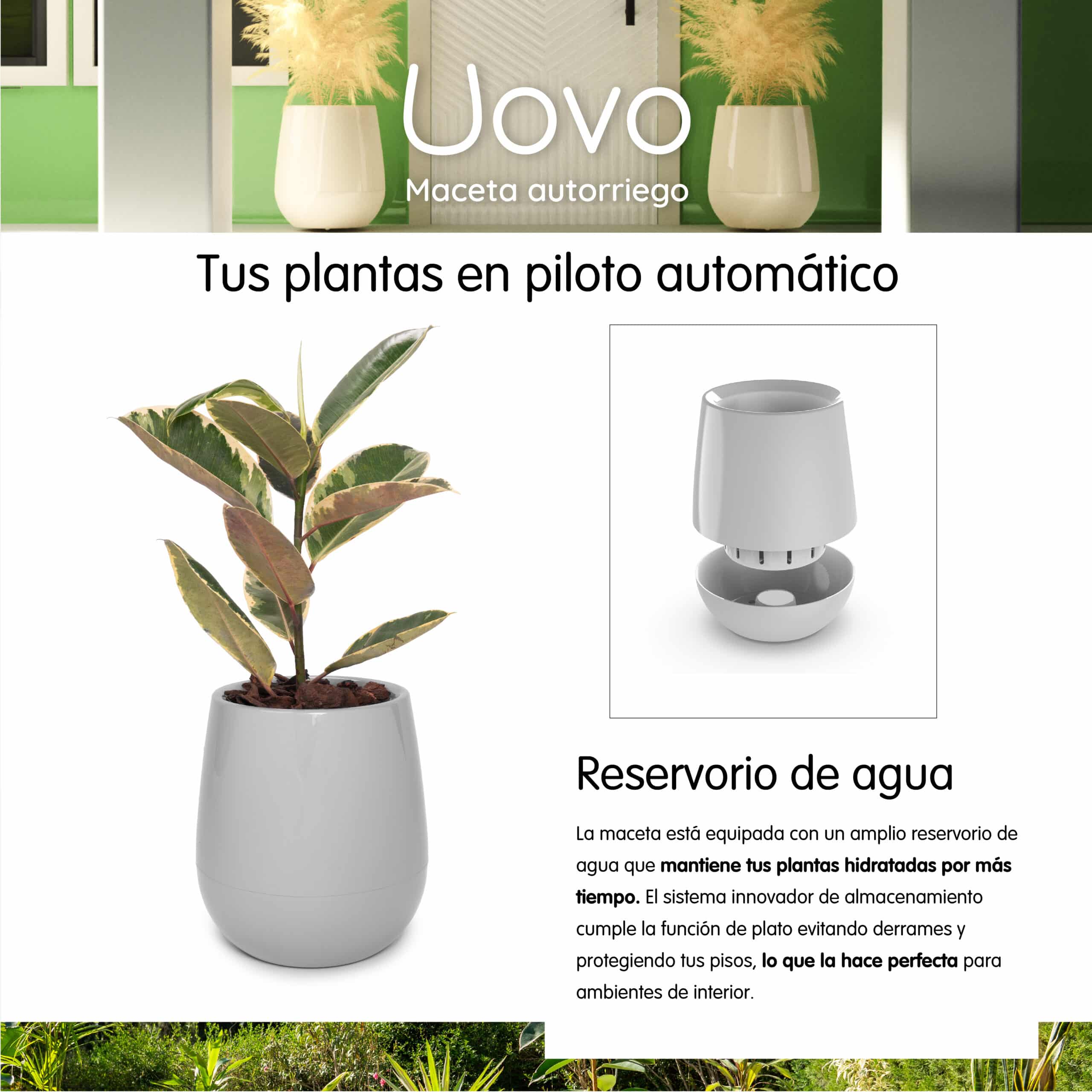 Placas-UOVO-Mercado-libre-01-scaled