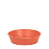 Plato 12 - Colores Clasicos
