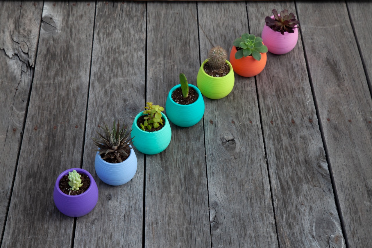 WhatsApp-Image-2021-06-18-at-12.01.32-PM-2