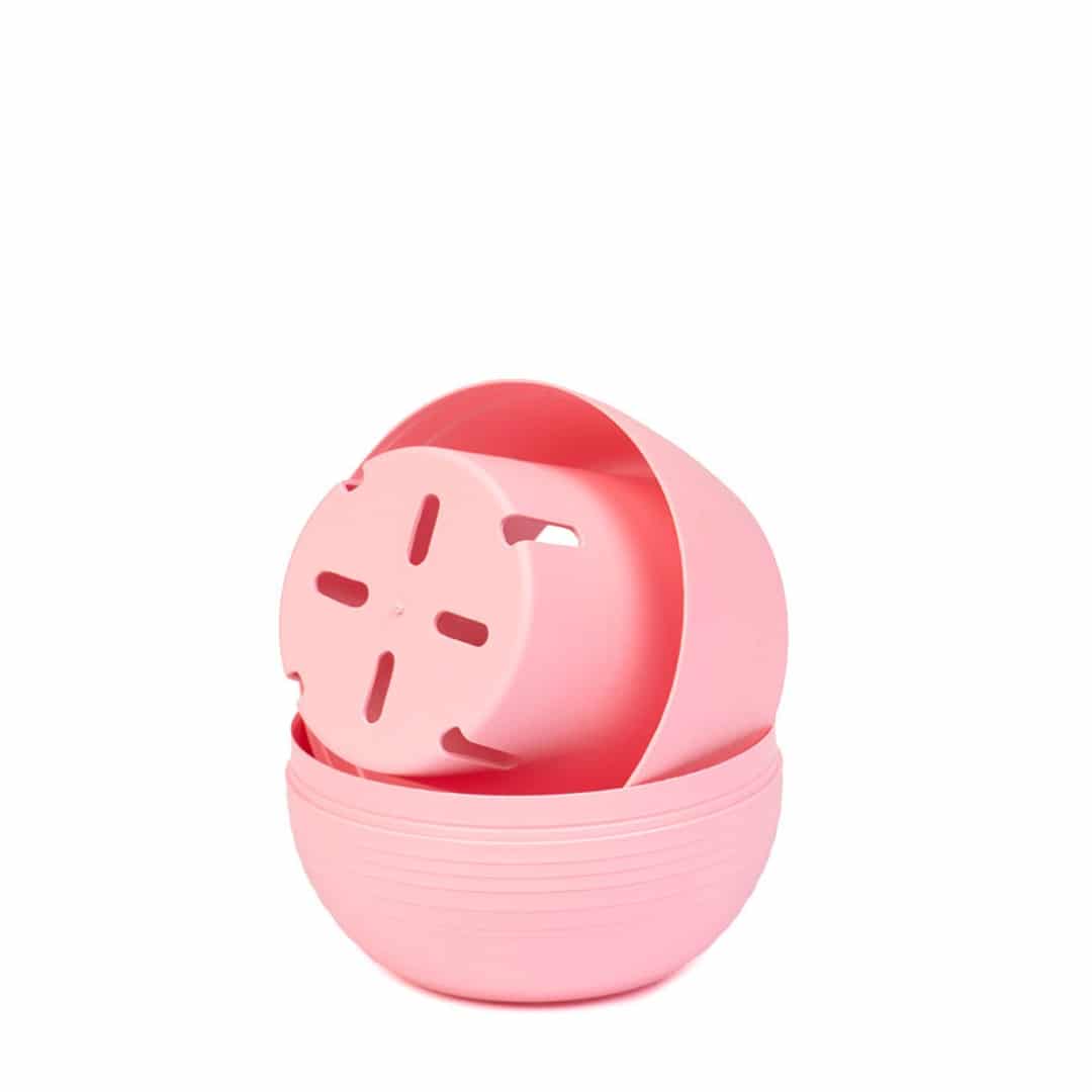 auto-1-escalada-rosa-bb-interior