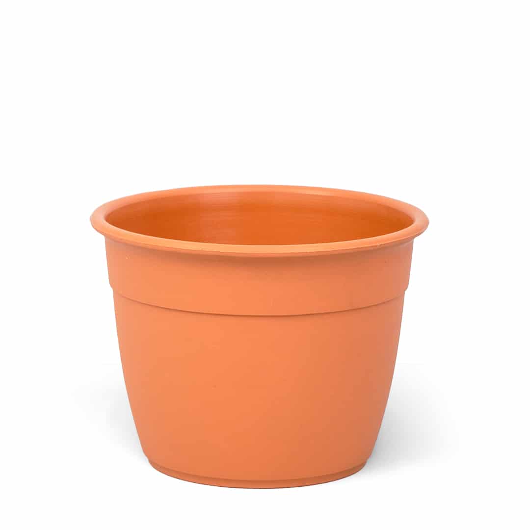 simil-16-simil-barro