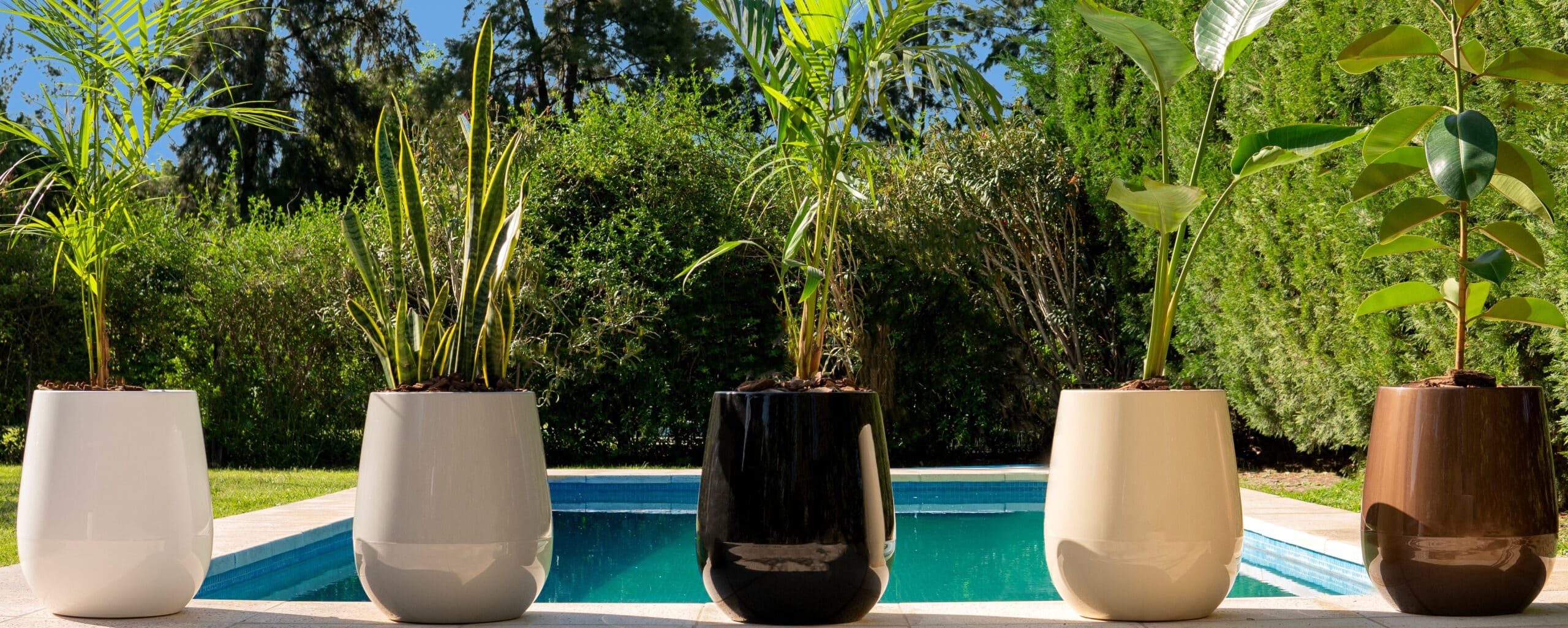 uovo-grupal-varios-colores-2-scaled