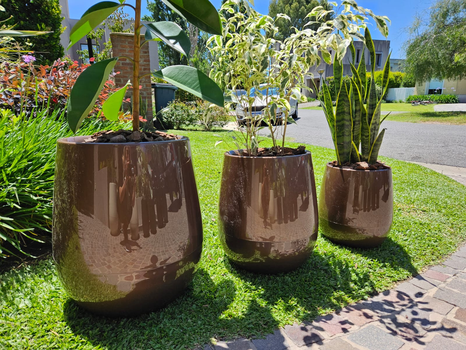 uovo-marron-perlado-exterior